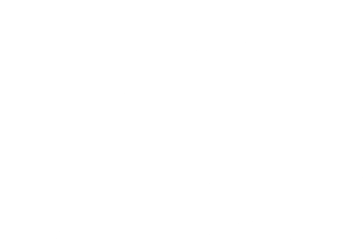 Zurich Seguros